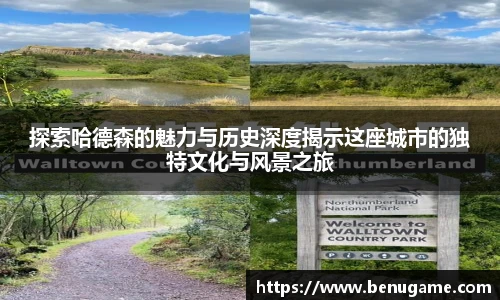 雷火电竞平台